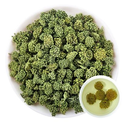 100% Dried Panax Notoginseng Flower 60G/2.12oz Ginseng, Tienchi Notoginseng Tea, Sanqi, Tienchi Ginseng Sanqi