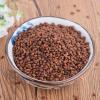 100% Natural Black Buckwheat 240G/8.46oz Pure Tartary Buckwheat Tea - Roasted - Loose Leaf Herbal Tea - Caffeine Free - NON-GMO - Gluten Free view 3