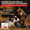 Re+Gen Nutrition Colostrum Gold 50 Bovine Colostrum Powder for Gut Health, Immune Support & Muscle Recovery  50% IgG Concentration, Grass Fed, Gluten Free, No Artificial Ingredients view 4