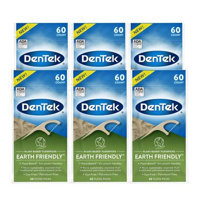 DenTek Earth Friendly Floss Picks, Organic Plant-Based bio-Plastic Handles, Mint 60 Count (Pack of 6)