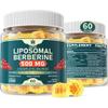 LILICARE Berberine 500mg Supplement, Once Daily, Liposomal Gummies with Ceylon Cinnamon, Bitter Melon, Banaba Leaf for Metabolism Balanced, AMPK Activator, High Absorption, Sugar Free, Vegan, 60 Cts view 1