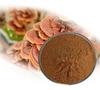 All Nature Reishi Mushroom Extract Ganoderma Lucidum Extract 50% Polysaccharides Health Food Instant raw Materials Powder view 4