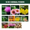 Verdeherb Cleavers Lymphatic Drainage Drops Enhance Lymph System Detox Cleanse, Echinacea, Milk Thistle, Cats Claw, Turmeric, Dandelion, Burdock Immune Support Supplement. 2oz view 3