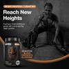 Birdman Falcon Performance Vegan Protein Powder, 31g Protein, 5g Creatine, 5g BCAA, Probiotics, Electrolytes, Pre Workout, Low Carb, Sugar Free & Dairy Free, Plant Based Chocolate Protein -19 servings view 2