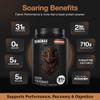 Birdman Falcon Performance Vegan Protein Powder, 31g Protein, 5g Creatine, 5g BCAA, Probiotics, Electrolytes, Pre Workout, Low Carb, Sugar Free & Dairy Free, Plant Based Chocolate Protein -19 servings view 3
