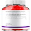 (3 Pack) Premier Keto ACV Gummies - Advanced Formula Premiere Keto Plus ACV Gummies Apple Cider Vinegar Premier ACV Dietary Supplement Reviews Men Women (180 Gummies) view 2