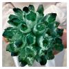 Clusters of Green Quartz Crystals, Healing Crystals (Size : 700-800g) view 1