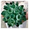 Clusters of Green Quartz Crystals, Healing Crystals (Size : 700-800g) view 2