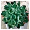 Clusters of Green Quartz Crystals, Healing Crystals (Size : 700-800g) view 3