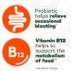 Align Probiotic, Bloating Relief + Food Digestion, Probiotics for Women and Men, Probiotic Helps Soothe Occasional Bloating*, With Vitamin B12 to Help Break Down Food into Cellular Energy*,60 Gummies view 2