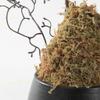 Artificial Bonsai Tree Chinese Zen Simulation Golden Monkey Fern Bonsai Decoration Office Living Room Restaurant Green Plant Landscaping Potted Decoration Office Decoration Bonsai view 3