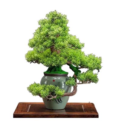 Artificial Bonsai Tree Living Room Decoration Porch Cabinet Office Artificial Welcome Pine Bonsai Simulation Bonsai Decorations Office Decoration Bonsai (Color : C)