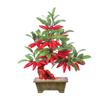 Artificial Bonsai Tree Jade Pepper Tree Ornament Bonsai Living Room Entrance Bogu Frame Jade Carving Creative Crafts Ornament Office Decoration Bonsai view 1