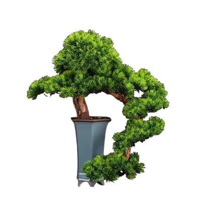 Artificial Bonsai Tree Simulation Bonsai Simulation Pine Bonsai Plant Decoration Porch Study Living Room Decoration Ornaments Office Decoration Bonsai (Color : B)