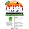 Bulk Organic Wheatgrass Seeds Hard Red Winter Wheat Berries 5 Pound Pouch, Premium Sprouting Quality view 4