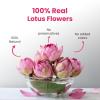 BLUE TEA - Pink Lotus Flower Tea - 1.40 Oz - 20 Cups | SUPER ANTIOXIDANT | Refreshing - Herbal Tea - Caffeine Free - Flower Based - Detox - Non Bitter - Non-GMO | Pet Jar Packaging view 2