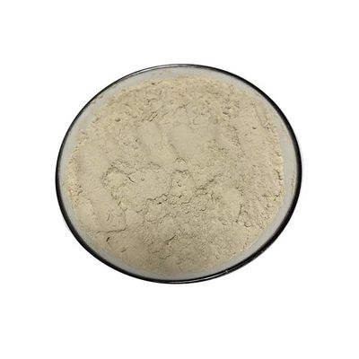 100% Gastrodia Powder (250 g(0.55 Pound))
