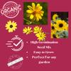 200+ Bidens Aristosa Tickseed Sunflower Seeds | Bright Yellow Blooms, Easy to Grow | Non-GMO, Pollinator-Friendly, Ideal for Naturalized Gardens view 4