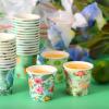 Sawysine 300 Count 3 oz Disposable Small Paper Cups for Bathroom, Mouthwash, Coffee & More Mini Cups for Supermarket, Birthday Party, Travel, Picnic & BBQ(Hawaii Style) view 4