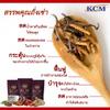 0% Sugar Delicious 20Sachets 300g/Pack New KCM Coffee Instant Mix Snack Healthy Cordyceps Ganoderma (of 3) By Beautygoodshop [Get Free For You Beauty Gifts] view 4
