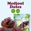 Food to Live Medjool Dates, 11 Pounds  Large Whole Dried Dates with Pits, Unsweetened & Unsulphured, Vegan, Bulk view 4