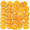 Dehydrated Orange Slices Premium Fruit Slices 3.52oz/100g,Natural Dried Orange Slice for Cocktails/Home Decor/Fruit Tea/Crafts/Cakes,Sugar Free Old Fashioned Mandarin Oranges Wheels view 1
