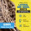 Fiji Vanua Kava Premium Santa Cruz Powder, Medium Grind Noble Root, Easy to Prepare Kava with A Smooth and Creamy Taste, Kava Root Powder, 8 oz view 3