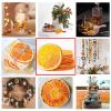 Dried Orange Slices for Cocktails,3.52oz/100g Dehydrated Orange Slices for Cakes/Crafts/Christmas Decor/Fruit Tea/Premium Dried Fruit Slices Cuties Mandarin Oranges Wheels view 3