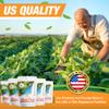 Monk Fruit  Allulose All Purpose Sweetener Multi-Pack-2: 2X Sugar Sweetness; Total Servings 454; Zero Calorie Sweetener, Sugar-Free Substitute for Baking, Smoothies, Coffee; Low Carb Keto Diet Friendly Food | Pack of 2, 1-LB/Each view 4