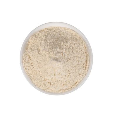 100% Garlic Powder Garlic Powder Organic (1000 g(2.20 Pound))