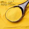 100% Natural Pure Mango Powder 100g/3.52oz  Mango Powder for Smoothies, Shakes, Baking & Drinks,| Free from Preservatives, No Added Sugar view 3