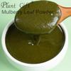 100% Natural Pure Mulberry Leaf Powder 100g/3.52oz  Mulberry Leaf Extract for Cooking Baking Recipes, Baking & Drinks,| Free from Preservatives, No Added Sugar view 2