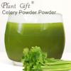 100% Natural Pure Celery Powder 100g/3.52oz  Celery Juice Powder For Smoothies, Shakes, Baking & Drinks, Tea | Green Juice Powder, Powdered Greens, Free from Preservatives view 4