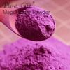 100% Natural Pure Maqui Berry Powder 100g/3.52oz  Maqui Powder For Smoothies, Shakes, Baking & Drinks,| Free from Preservatives, Freeze-Dried, No Added Sugar view 3