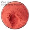 100% Pure Strawberry powder 100g/3.52oz Natural Freeze Strawberry Juice Flour | Strawberry Powder for Smoothies, Shakes, Baking & Drinks,| Free from Preservatives | Vegan, Gluten-Free. view 2