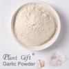 100% Garlic powder 100g/3.52oz Garlic Flour Vegan, Gluten free, Fine Powdered, Seasoning for Cooking, Great for Seasonings, Meats, or Vegetables view 2