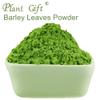 100% Pure Barley Leaves Powder 100g/3.52oz Natural Barley Leaves Flour | Barley Grass Powder for Smoothies, Shakes, Baking & Drinks,| Free from Preservatives view 2