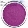 100% Natural Pure Blueberry Powder 100g/3.52oz Blue Berry Powder for Smoothie & Breakfast, Freeze-Dried, No Added Sugar view 2