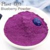 100% Natural Pure Blueberry Powder 100g/3.52oz Blue Berry Powder for Smoothie & Breakfast, Freeze-Dried, No Added Sugar view 3