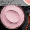 100% Natural Pure Watermelon Powder 100g/3.52oz  Watermelon Fruit Dried Powder for Smoothies, Shakes, Baking & Drinks,| Free from Preservatives, No Added Sugar view 2