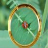 20X HD Magnifying Glass (Full Size-90mm) for Desktop, Collectors, Youth and The Elderly. Free Bonus, (3) Credit Card Sized Magnifiers for Shopping or dosing Medicine ($3.96 Value). view 2