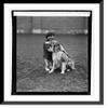 Historic Framed Print, Miss Harriet Rose Sonmer with Sable Son, 4/10/25, 17-7/8" x 21-7/8" view 1