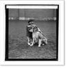 Historic Framed Print, Miss Harriet Rose Sonmer with Sable Son, 4/10/25, 17-7/8" x 21-7/8" view 2