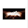 Medicated Powder 4oz (Pack of 2), by Litezout view 4