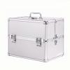 WHYATT Locking Storage Box, Medicine Box, With Portable Handle, Used for Medicine Storage and Personal Belongings Storage (Color : Silver, Size : Small) view 1