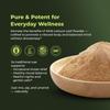 Wild Lettuce Natural Leaf Powder - Pure and Potent Herbal Supplement for Relaxation and Relief | 30 Grams view 3