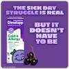 Childrens Dimetapp Cold & Allergy Liquid, Antihistamine Multi-Symptom Relief for Runny Nose, Sneezing, Itchy Throat & Watery Eyes, Grape Flavor, Phenylephrine-Free Cold Medicine, 8 fl oz view 3
