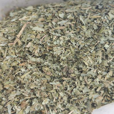 Dehydrated Beletientien/Atama Leaves (aka Bush Apple Leaves) - 1 oz