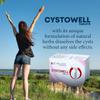 THRU Cystowell ||750 Mg Helpful to Control Ovary Cyst|| Balanced Harmones | Anti Cyst view 3