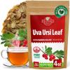 4 oz. Uva Ursi Leaf Uva Ursi Tea Herbal (Arctostaphylos Uva-Ursi) - 113g Uva-Ursi Herb Tea Arctostaphylos Uva-Ursi view 1